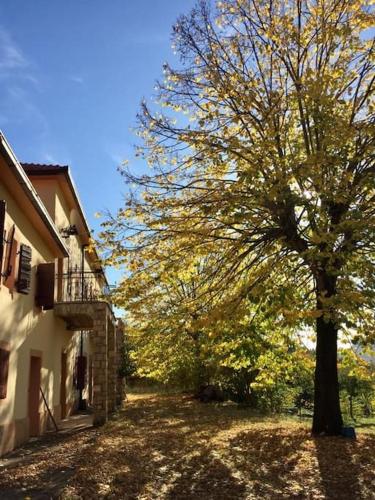Gallery image of Casa Ivan B&B in Tihaljina