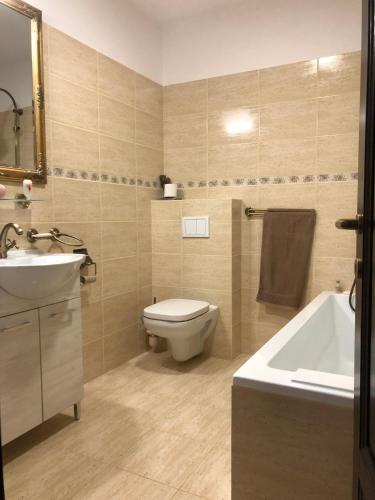 a bathroom with a toilet and a sink and a tub at Pensiunea Crețișoara in Câmpulung