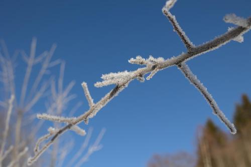 冬のChalet Sternwarteの様子