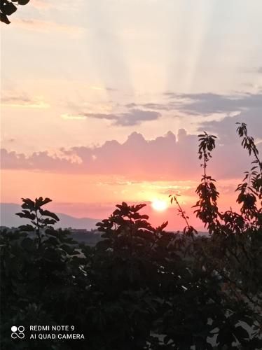 a sunset in the jungle with trees in the foreground at La casetta sotto l'albero LA CAROVANA GITANA in Vasto
