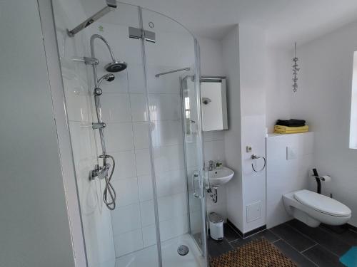 bagno con doccia in vetro e servizi igienici di Ferienwohnung Erika a Usedom Town
