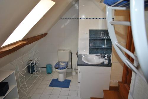 une petite salle de bain avec toilettes et lavabo dans l'établissement Le Tulipier de Virginie, à Noyers-sur-Cher