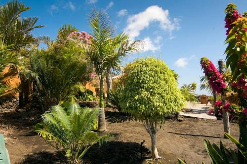 Fotografia z galérie ubytovania Casa La Time v destinácii Fuencaliente de la Palma