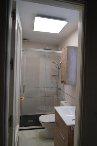 a bathroom with a shower and a toilet and a sink at Balcón Giralda Center & Sweet in Seville