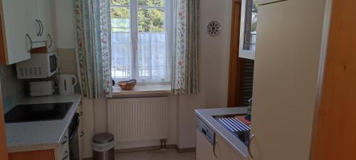 Una cocina o cocineta en Haus Elena am Semmering