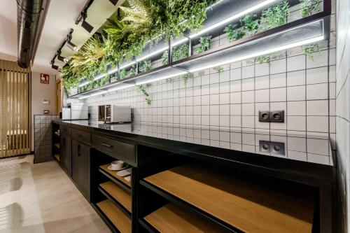 a kitchen with green plants on the wall at Hospedium H Cabo Sport in Finisterre