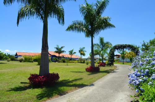 a path through a park with palm trees and flowers at Finca Azulinas in La Tebaida