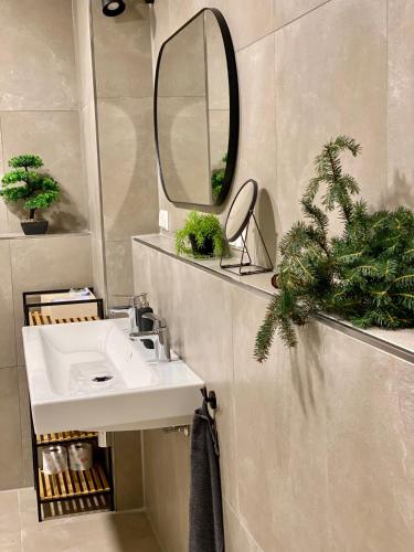 a bathroom with a sink and a mirror at Exklusive 82 qm Loftwohnung mit Tiefgarage und Süd-Balkon zentral in Titisee-Neustadt