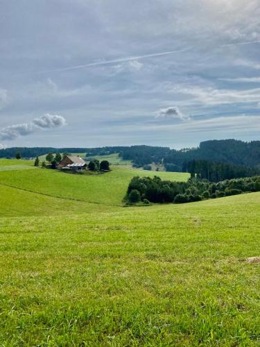 a large green field with a house in the distance at Exklusive 82 qm Loftwohnung mit Tiefgarage und Süd-Balkon zentral in Titisee-Neustadt