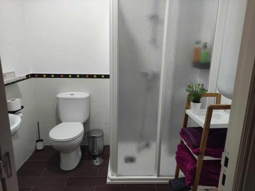 La salle de bains est pourvue d'une douche et de toilettes. dans l'établissement Grupo Gontad Apartamento Ponteceso Pé do Río, à Ponteceso