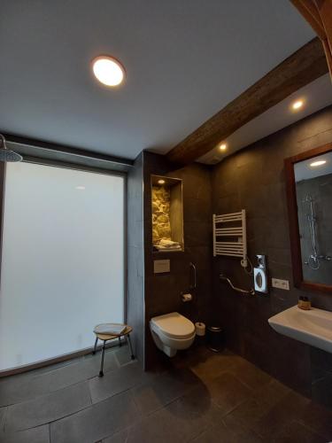 a bathroom with a toilet and a sink at Hôtel La Caravelle in Ciboure