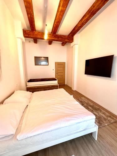 a bedroom with a bed and a flat screen tv at Angel Apartment Černý důl in Cerny Dul