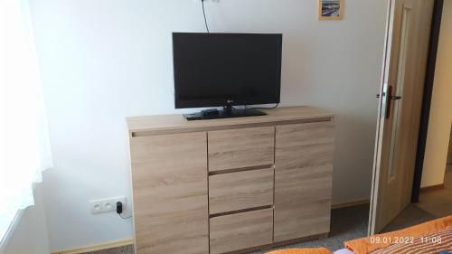 un televisor sentado en la parte superior de un tocador de madera en Apartmán Pod Žalým, en Benecko