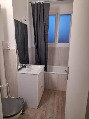 une salle de bain avec un lavabo et un miroir dans l'établissement Appartement Centre ville proche gare, à Dunkerque
