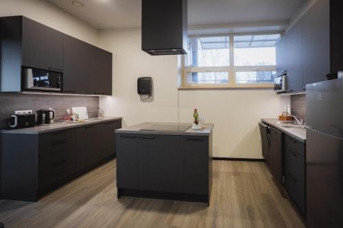 Kuchyň nebo kuchyňský kout v ubytování Hotel NOSPA