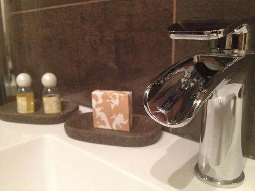 a bathroom sink with a faucet and two bottles of soap at Domaine du Manoir in Les Avenières