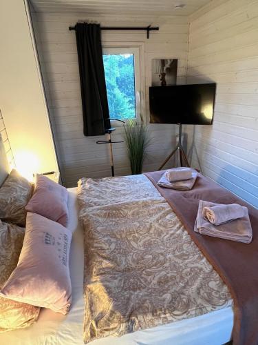 a bedroom with a bed with pillows and a television at Exklusives Ferienhaus Rybak mit Boxspringbetten direkt am Steinhuder Meer in Wunstorf