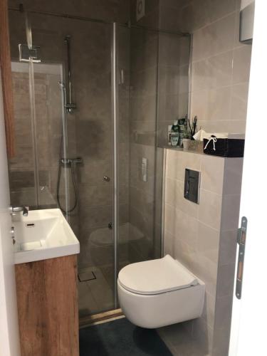 Un baño de Apartman Ambijent Divcibare