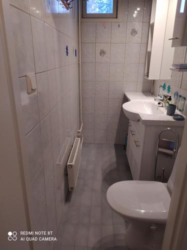 un baño con inodoro y lavabo en Korento, en Sotkajärvi