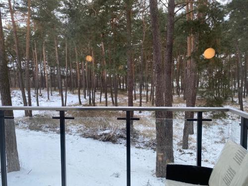 a view of a forest with snow and trees at Family & Business Sauna Tężnia Apartments No12 Leśny nad Zalewem Cedzyna - 1 Bedroom with Private Sauna, Bath with Hydromassage , Terrace, Parking, Catering Options in Kielce