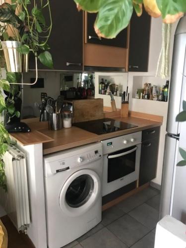 Cosy Appartment – Photos 4