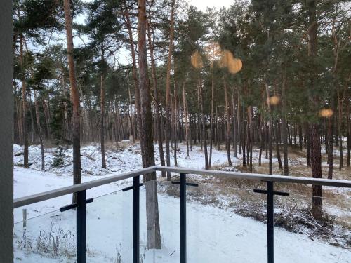 a view of a forest with snow and trees at Family & Business Sauna Tężnia Apartments No12 Leśny nad Zalewem Cedzyna - 1 Bedroom with Private Sauna, Bath with Hydromassage , Terrace, Parking, Catering Options in Kielce