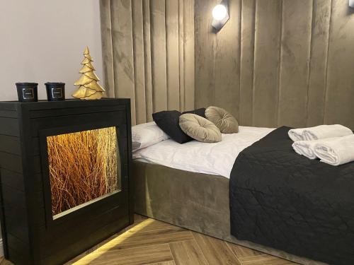 two twin beds in a room with a mirror at Family & Business Sauna Tężnia Apartments No12 Leśny nad Zalewem Cedzyna - 1 Bedroom with Private Sauna, Bath with Hydromassage , Terrace, Parking, Catering Options in Kielce