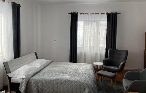 a bedroom with a bed and a chair and a window at Pensiunea Casa Eden in Mărişel