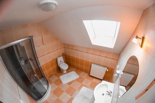a bathroom with a shower and a sink and a toilet at Chalupa Bartoš in Vitanová