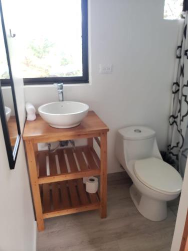 a bathroom with a sink and a toilet at La Buena Vida Cabinas in Playa Grande