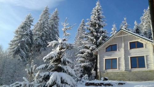 a house covered in snow next to some trees at Шепіт лісу in Lazeshchyna