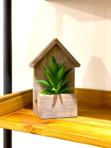 a plant in a wooden bird house on a shelf at Résidence Adam à part in Valenciennes