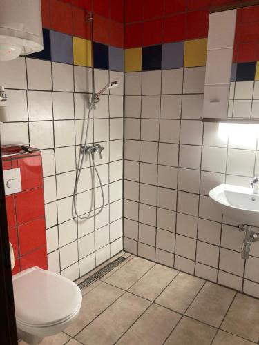 La salle de bains est pourvue d'une douche, de toilettes et d'un lavabo. dans l'établissement Ferienwohnung Westhof, à Sankt Andrä bei Frauenkirchen