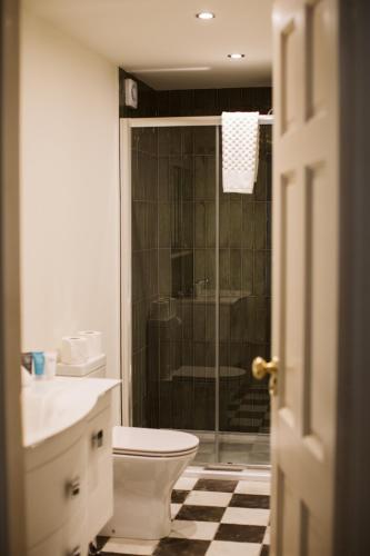 a bathroom with a shower and a toilet and a sink at Galgorm in Ballymena
