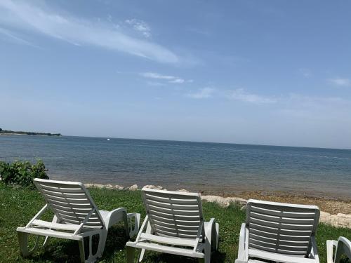 two chairs sitting on the grass near the water at Villa Eva Karigador in Novigrad Istria