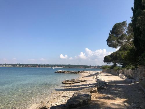 a beach with rocks and water and trees at Villa Eva Karigador in Novigrad Istria