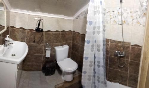 a bathroom with a toilet and a sink and a shower at Sova in Lazeshchyna