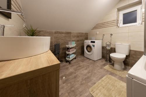 a bathroom with a toilet and a washing machine at Kuća za odmor 'Teuta' in Vrhovine