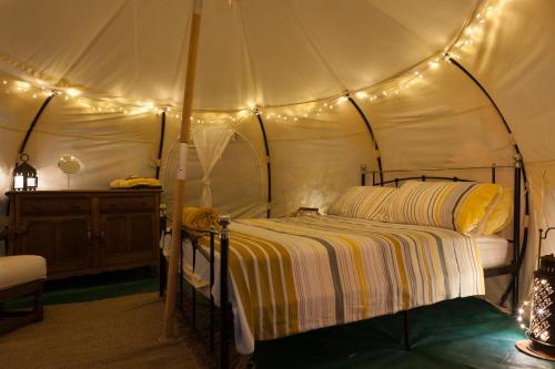 Wild Lotus Glamping – Photos 2