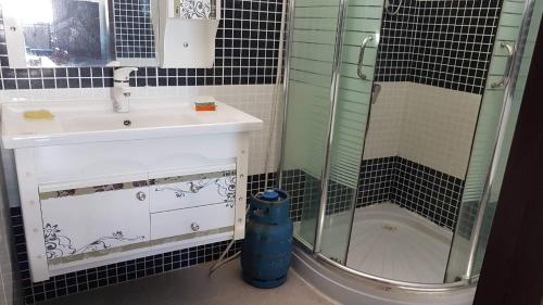 ein Badezimmer mit Waschbecken und Dusche in der Unterkunft Soleil Couchant No 2 in Flic-en-Flac