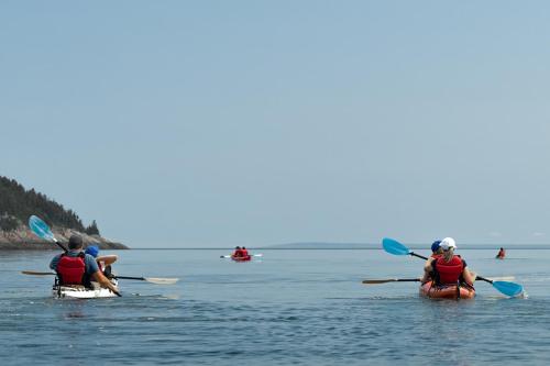 a group of people kayaking on the water at Le Relais de la Martine in Petite-Rivière-Saint-François