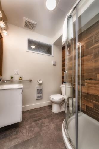 a bathroom with a toilet and a sink and a shower at Le Relais de la Martine in Petite-Rivière-Saint-François
