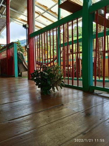 a potted plant sitting on the floor of a porch at HOSTAL CASA VICTORIA PIJAO in Pijao