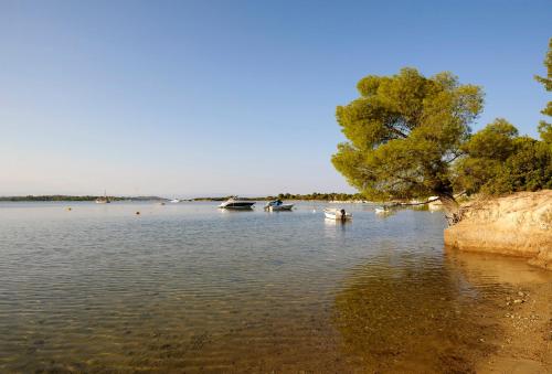 a lake with boats in the water and a tree at Villa Vasiliadi in Vourvourou