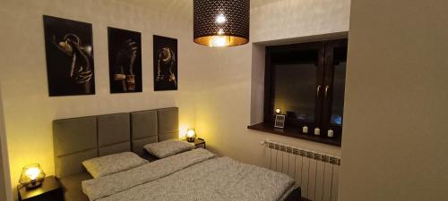 sypialnia z łóżkiem z 2 lampami i oknem w obiekcie Apartamenty Obidowa w mieście Obidowa