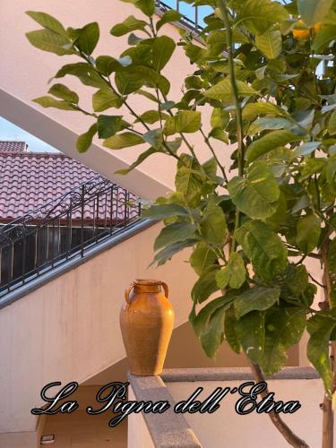 a vase sitting on a ledge next to a plant at La Pigna dell'Etna in Nicolosi