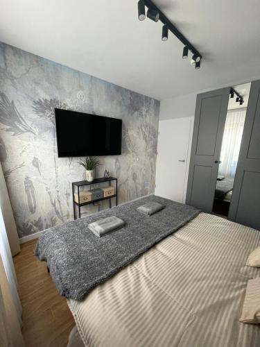 Stone Hill SPA by Clima Apartment في شكلارسكا بوريبا: غرفة نوم بسرير كبير وتلفزيون بشاشة مسطحة