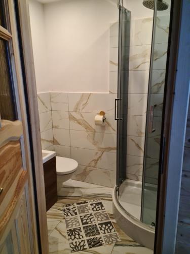 a bathroom with a shower and a toilet at Apartamenty Pod Skałką in Szaflary