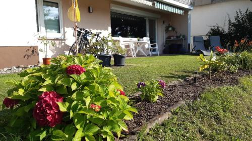 a garden with flowers in the yard of a house at Fewo Traumblick in Kreuzwertheim