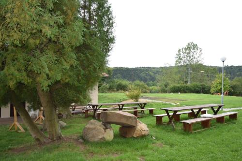 a group of picnic tables under a tree in a field at Areál Ontario Kyselka in Kysibl Kyselka